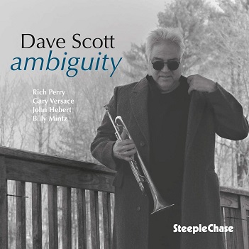 Cover van Scott, Dave – Ambiguity