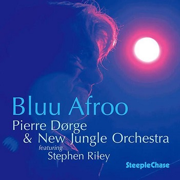 Cover van Dorge, Pierre & New Jungle Orchestra Feat. Stephen – Bluu Afroo
