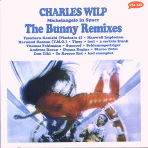 Cover van Wilp, Charles – Michelangelo In Space