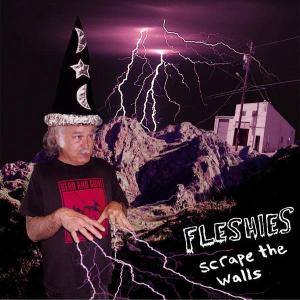 Cover van Fleshies – Scrape the Walls