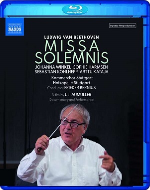 Cover van Zinman, David – Missa Solemnis: Documentary and Performance