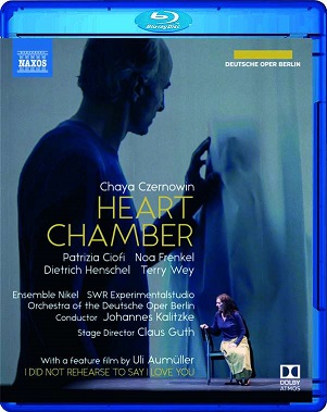Cover van V/A – Heart Chamber