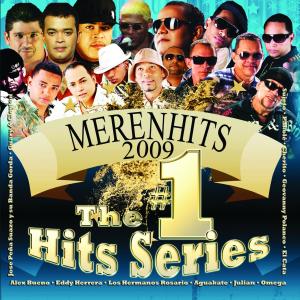 Cover van V/A – Merenhits 2009
