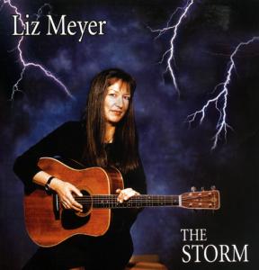 Cover van Meyer, Liz – Storm is Coming
