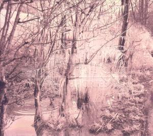 Cover van Esben and the Witch – Violet Cries