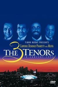 Cover van Domingo – In Concert 1994