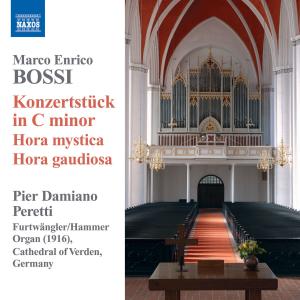 Organ Music/Konzertstuck In C Minor