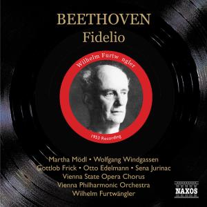 Cover van Zinman, David – Ludwig Van Beethoven: Fidelio