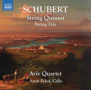 String Quintet/String Trio