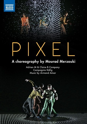 Cover van Amar, A. – Pixel