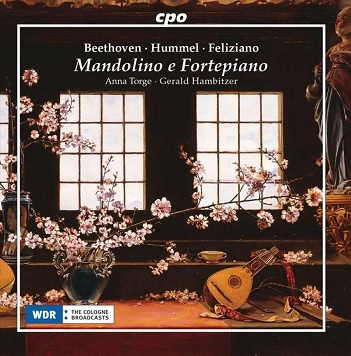 Mandolino E Fortepiano