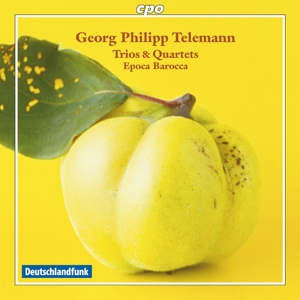 Trios & Quartets