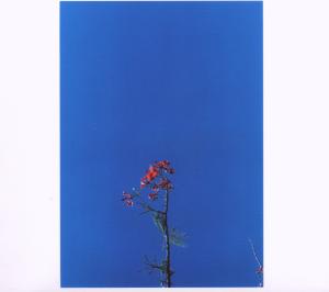 Cover van Newsom, Joanna – Ep -3tr-