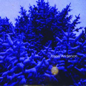 Cover van Anderson, Jason – The Wreath