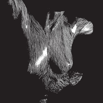 Self-Preserved While the Bodies Float Up