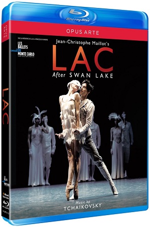 Cover van Jarvi, Kristjan – Lac Des Cygnes