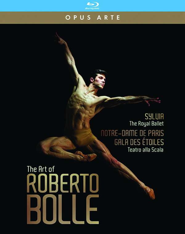 Cover van Bolle, Roberto – Art of Roberto Bolle
