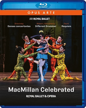Macmillan Celebrated