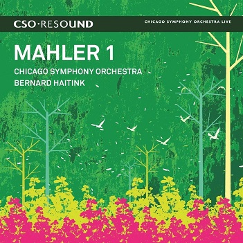 Symphony No.1 In D Major (Live)