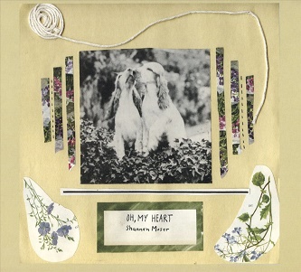 Cover van Moser, Shannen – Oh, My Heart