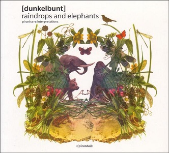 Cover van Dunkelbunt – Raindrops and Elephants