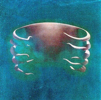 Cover van Tool – Undertow