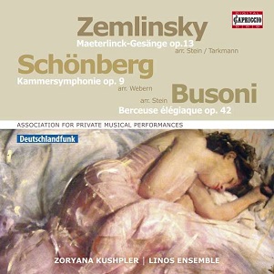Cover van Zemlinsky – Association For Private Musical Performances