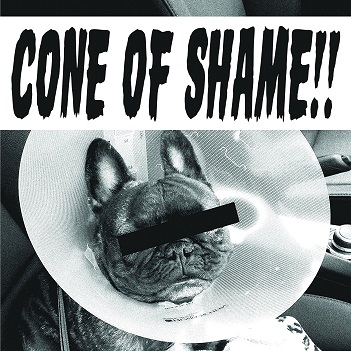 Cone of Shame