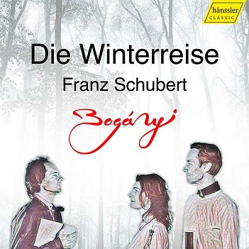 Cover van Trio Boganyi – Schubert: Die Winterreise, Op. 89 (Instrumental)