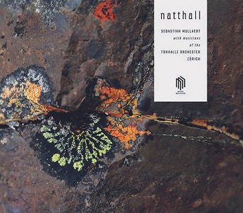 Cover van Sebastian Mullaert – Natthall