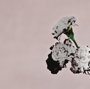 Love In the Future (Special Edition)