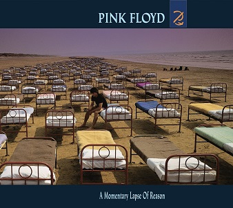 A Momentary Lapse of Reason