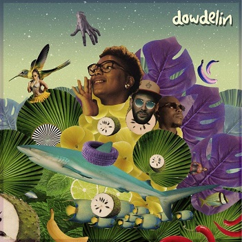 Cover van Dowdelin – Carnaval Odyssey
