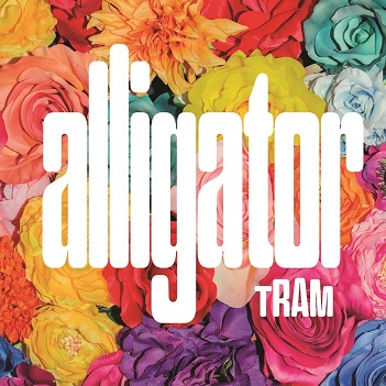 Alligator