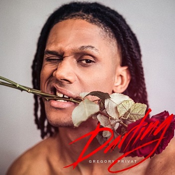 Cover van Privat, Gregory – Darling