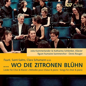 Cover van Kammerlander, Julia – Wo Die Zitronen Bluh'n