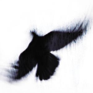 Cover van Blueneck – Fallen Host