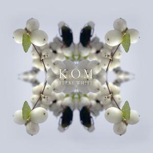 Cover van Kom – Berry White