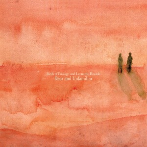 Cover van Birds of Passage + Leonardo Rosado – Dear and Unfamiliar