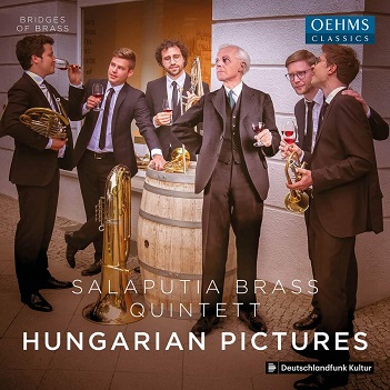 Cover van Salaputia Brass Quintett – Hungarian Pictures