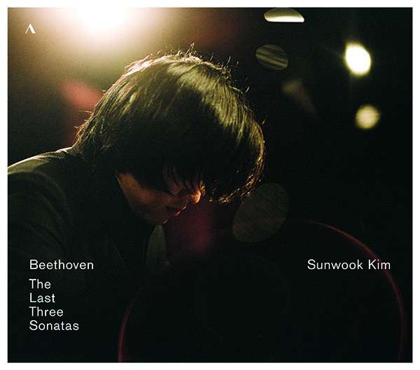 Beethoven: the Last Three Sonatas