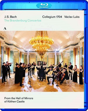 Cover van Collegium 1704 – Bach: Brandenburg Concertos 1-6 Bwv 1046-1051