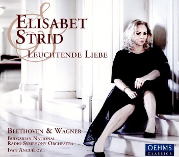 Cover van Strid, Elisabet – Leuchtende Liebe
