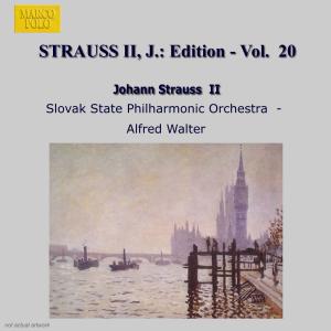 Cover van Berliner Philharmoniker, Herbert von Karajan – Orchestral Works 20