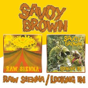Raw Sienna/Looking In