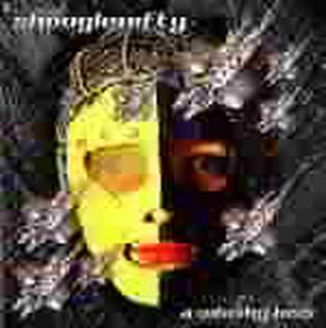 Cover van Shooglenifty – A Whisky Kiss
