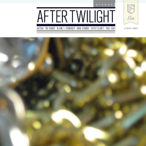 Cover van V/A – After Twilight