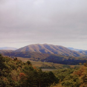 Cover van Dirty Projectors + Bjork – Mount Wittenberg Orca