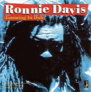Jamming In Dub -14tr-