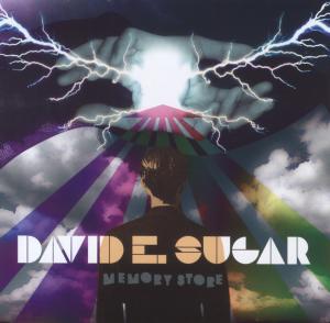 Cover van Sugar, David E – Memory Store